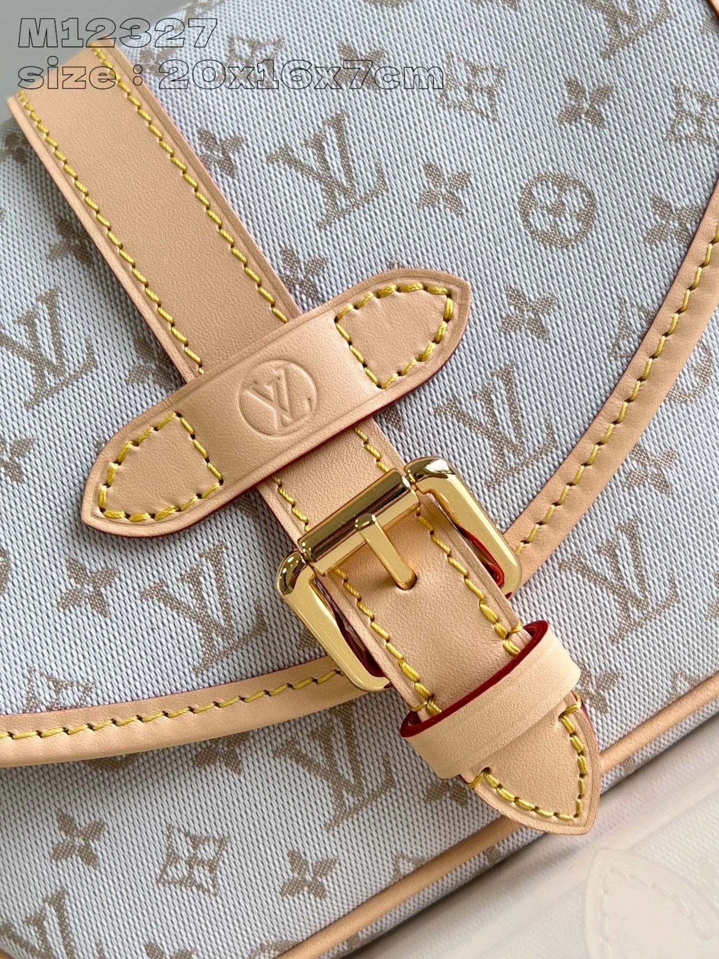 LOUIS VUITTON BAG