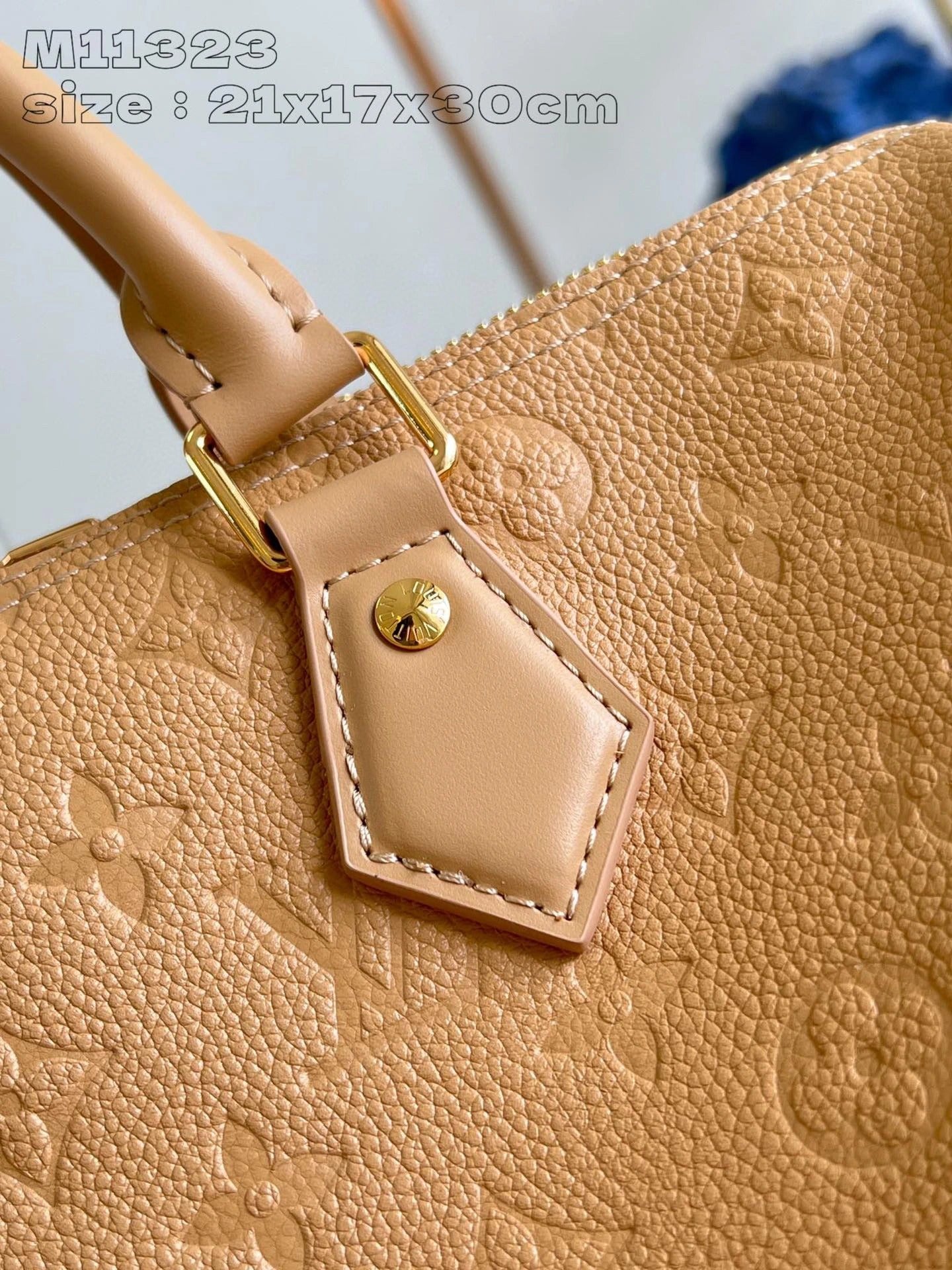 LOUIS VUITTON BAG
