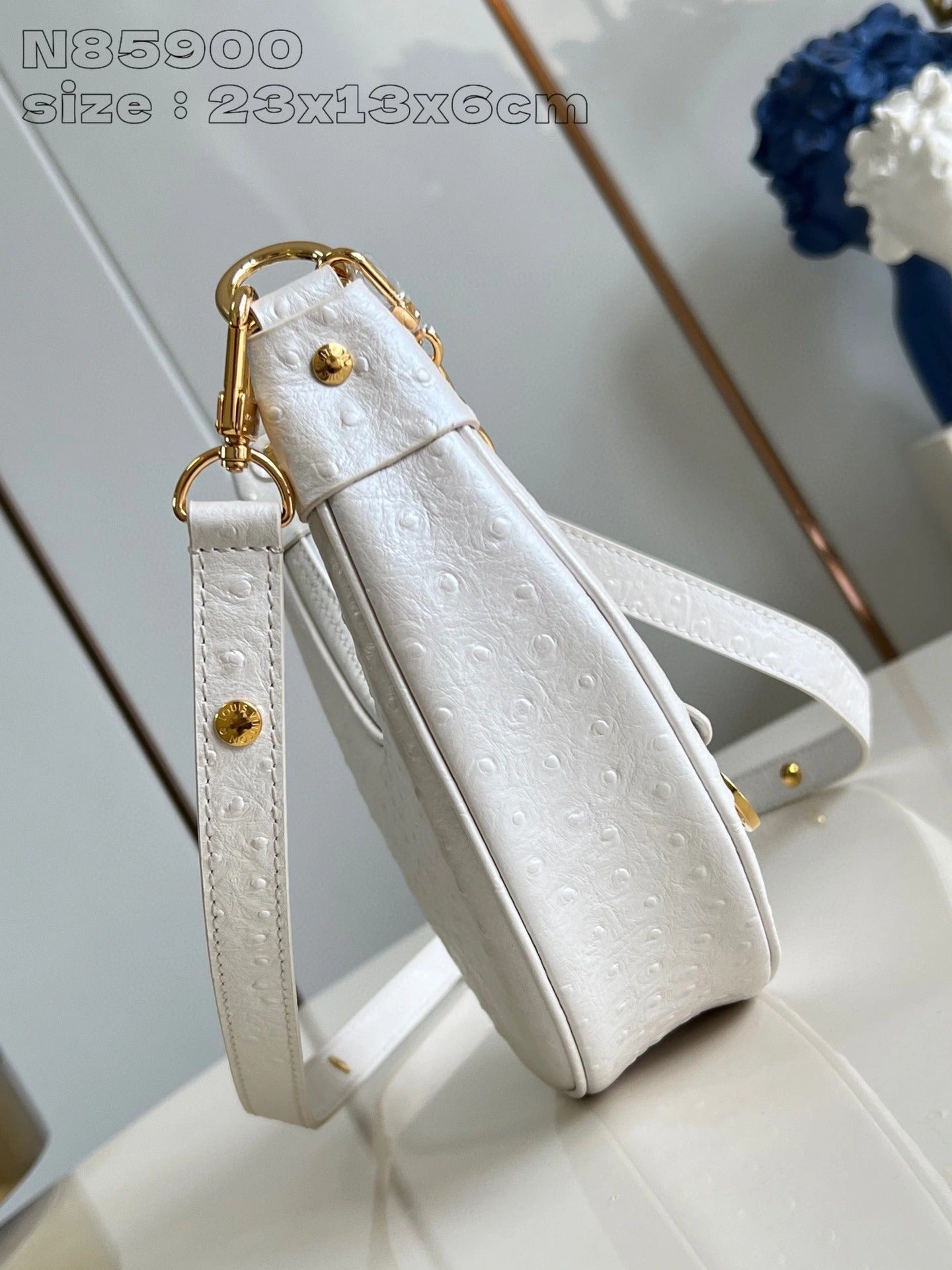 LOUIS VUITTON BAG