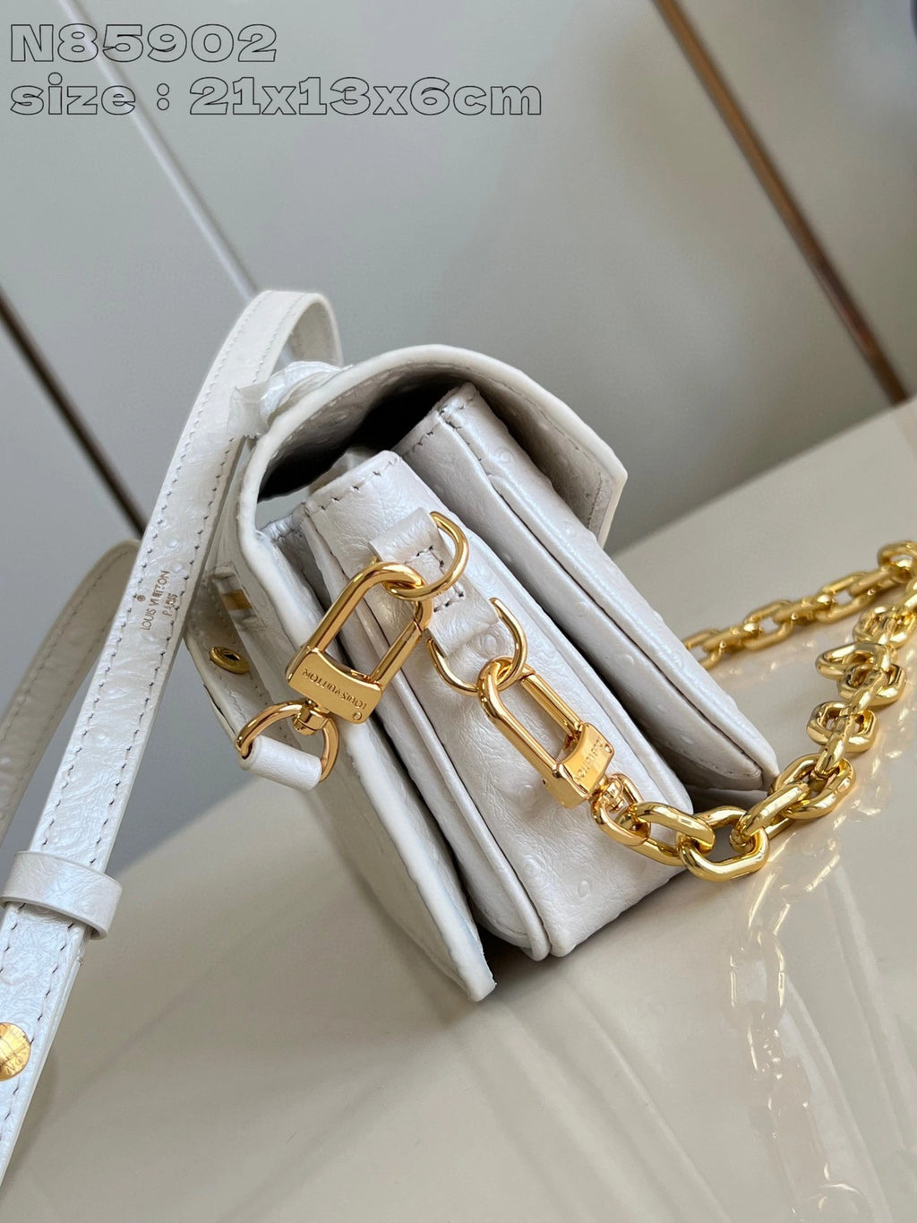 LOUIS VUITTON BAG