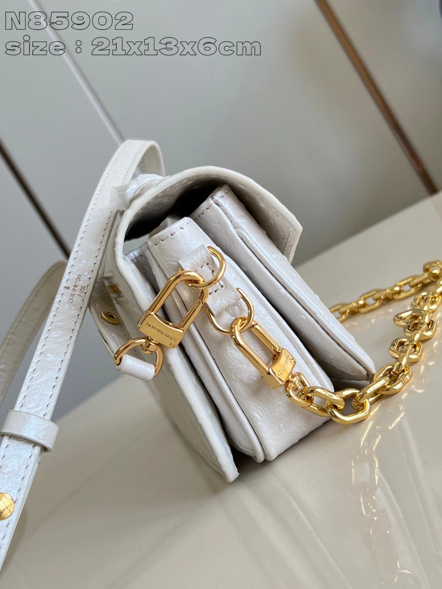 LOUIS VUITTON BAG