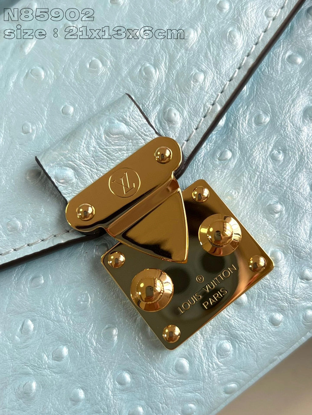 LOUIS VUITTON BAG