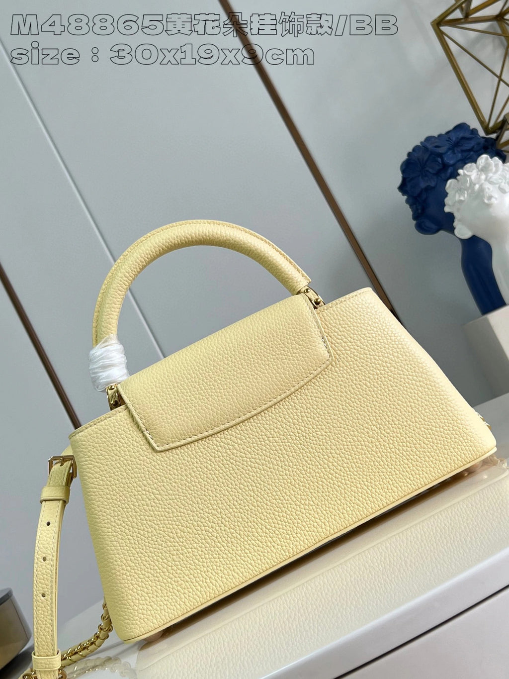 LOUIS VUITTON BAG