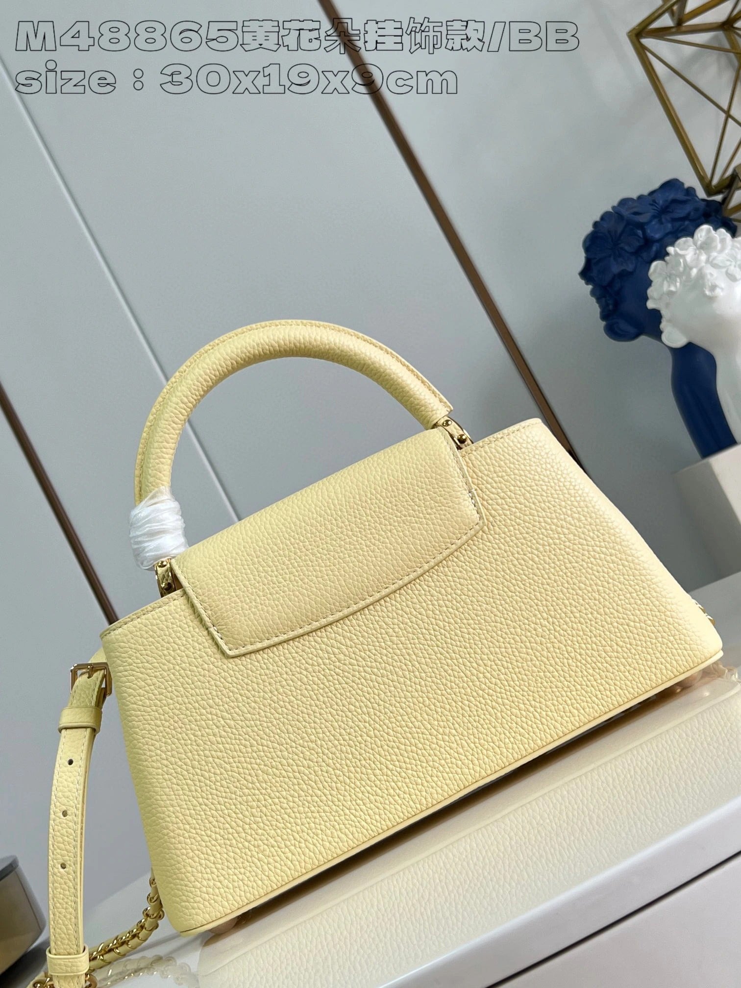 LOUIS VUITTON BAG