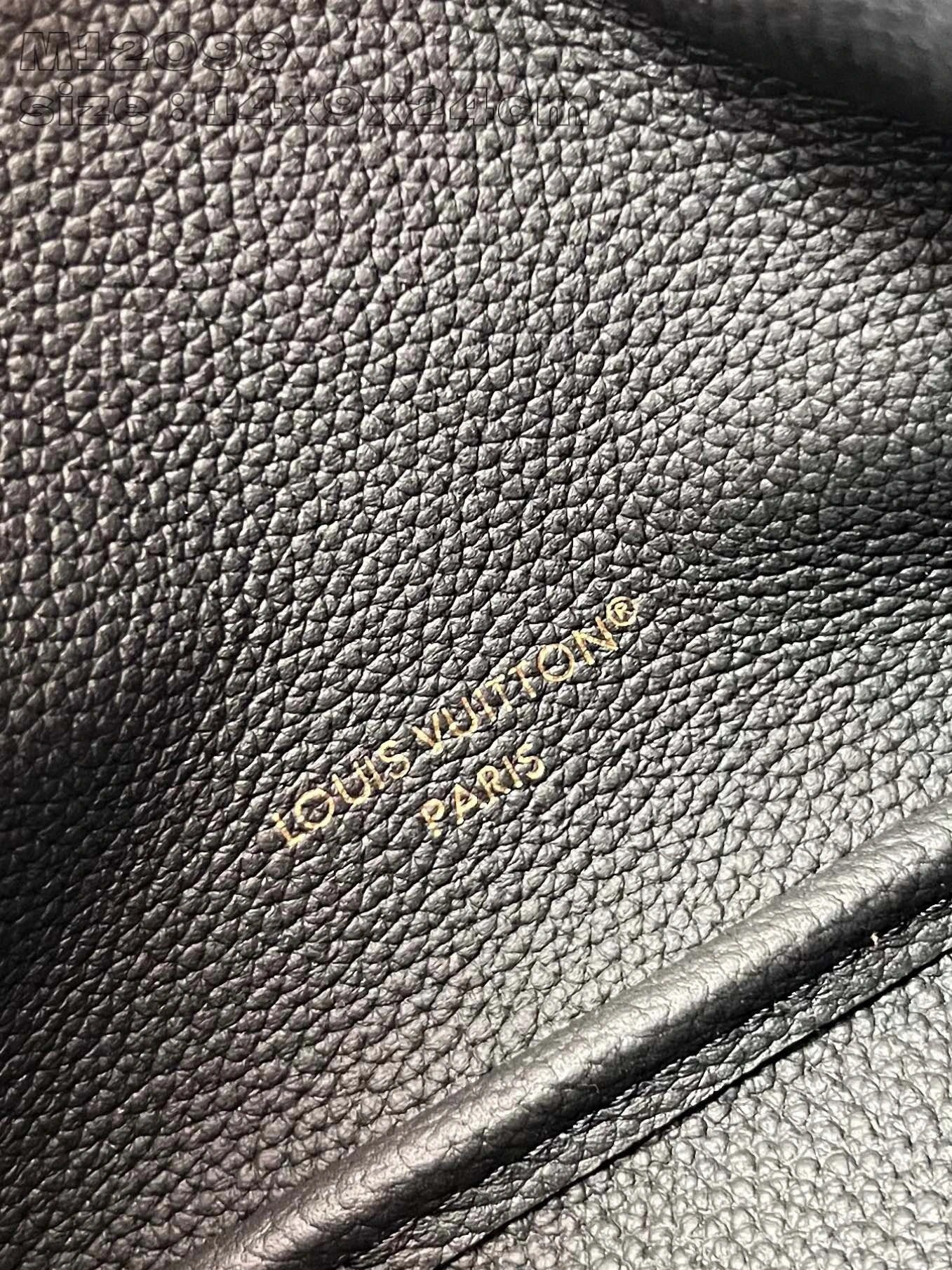 LOUIS VUITTON BAG