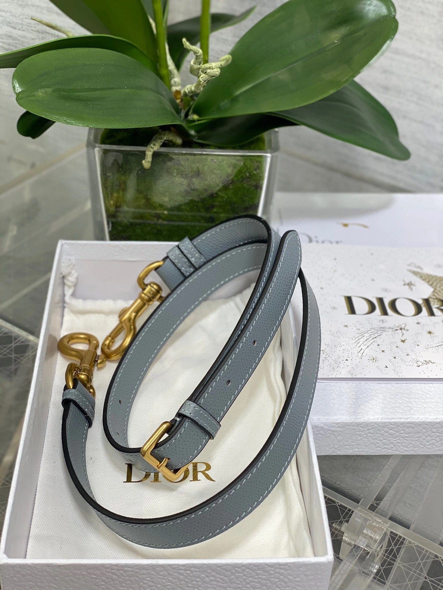 DIOR BAG