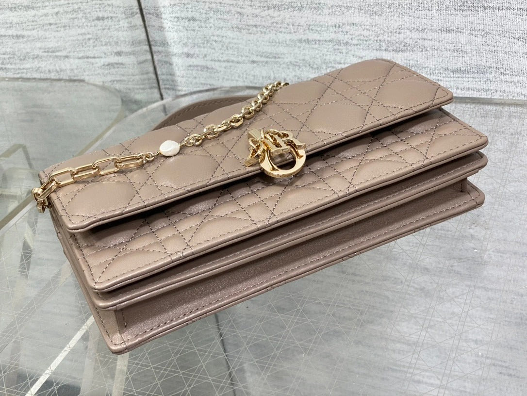 DIOR BAG