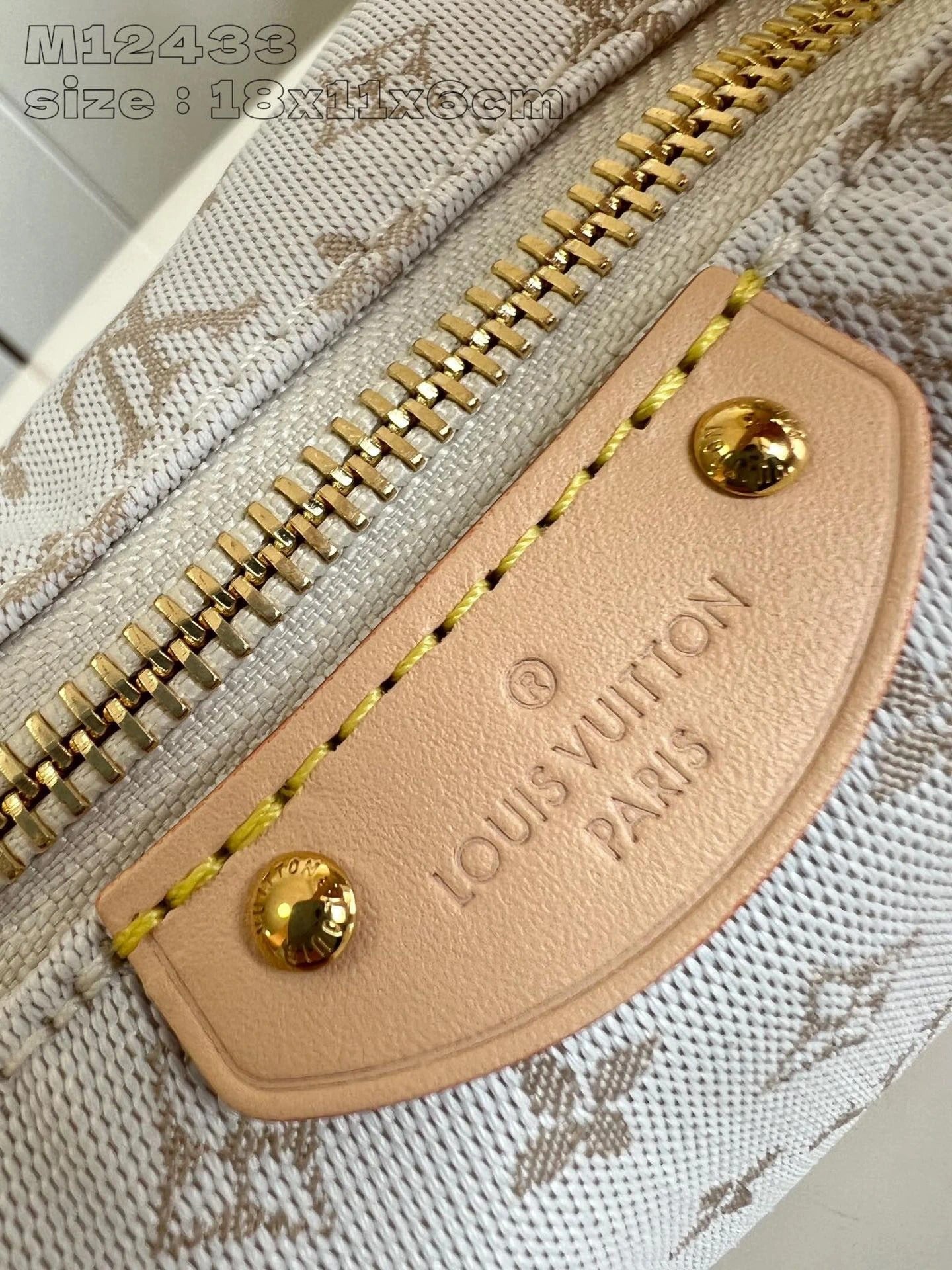 LOUIS VUITTON BAG