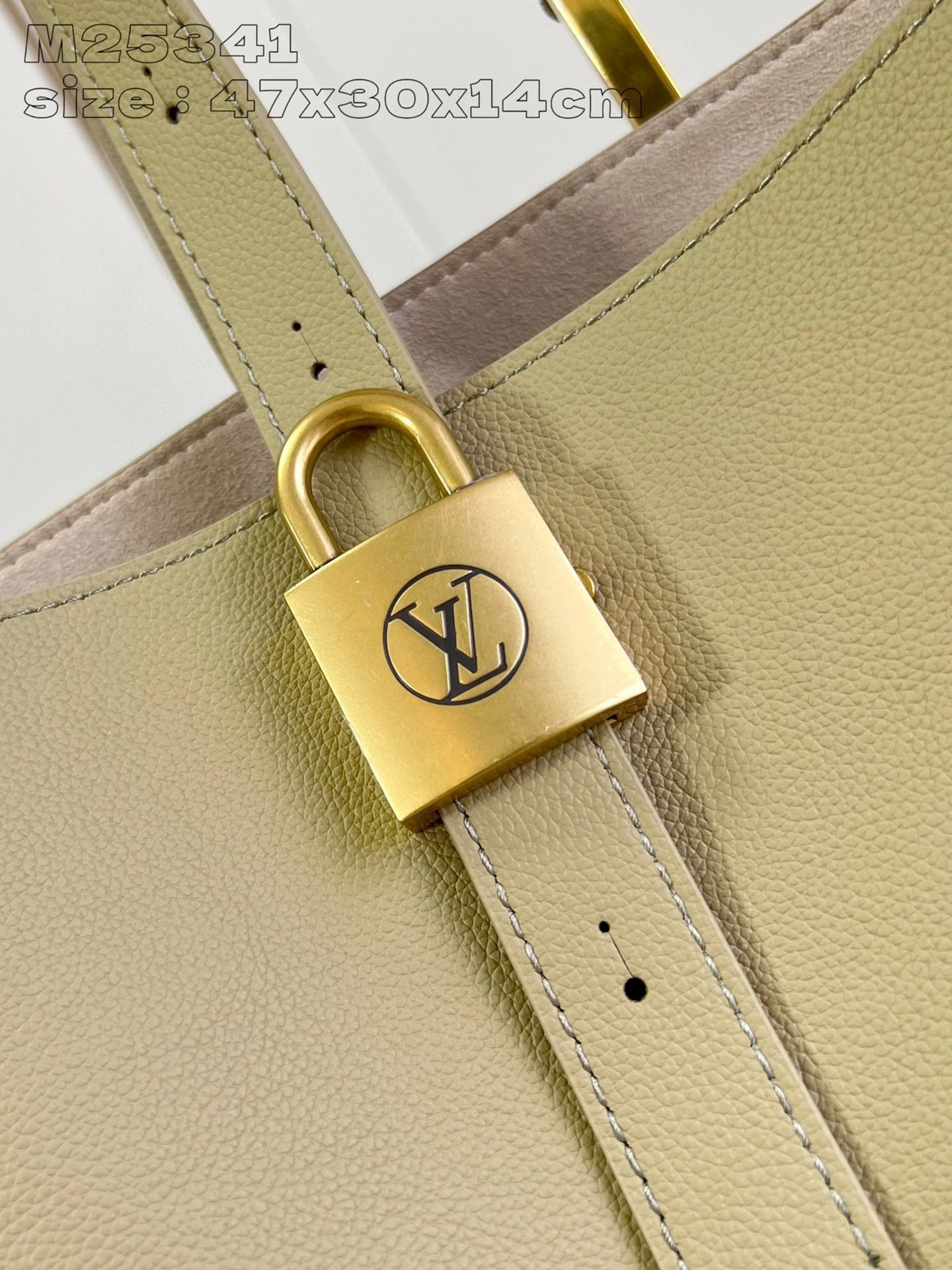 LOUIS VUITTON BAG
