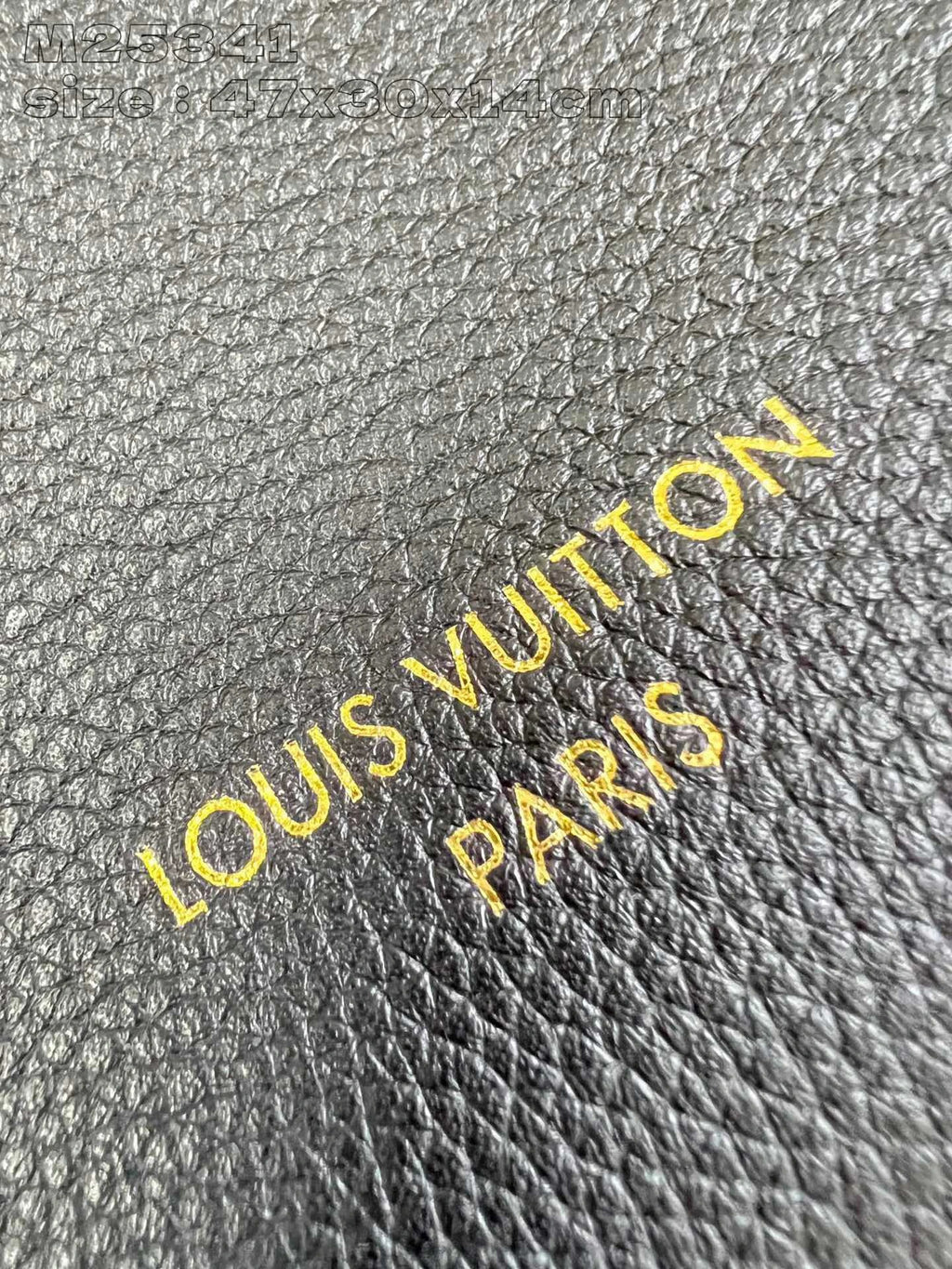 LOUIS VUITTON BAG
