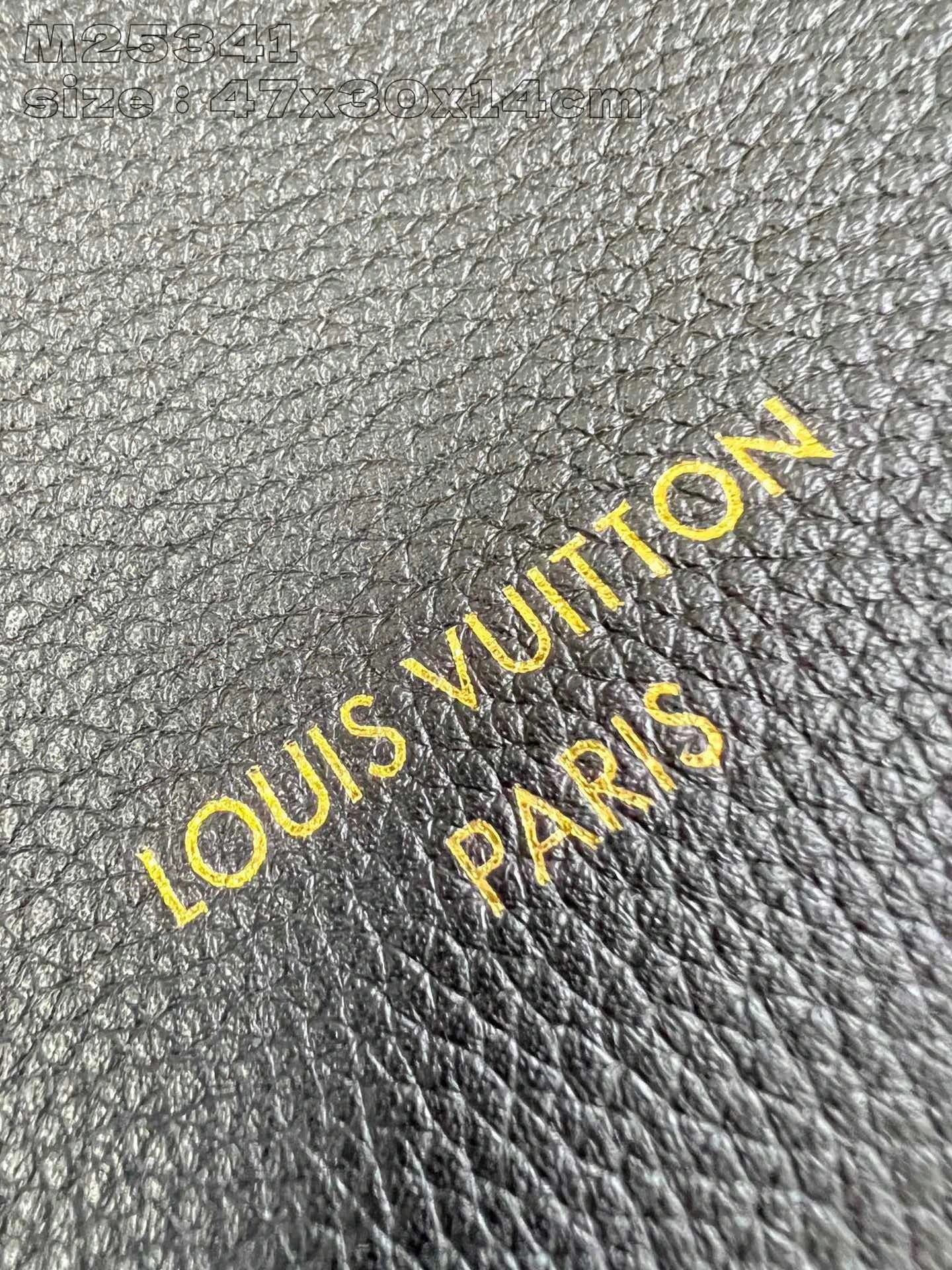 LOUIS VUITTON BAG