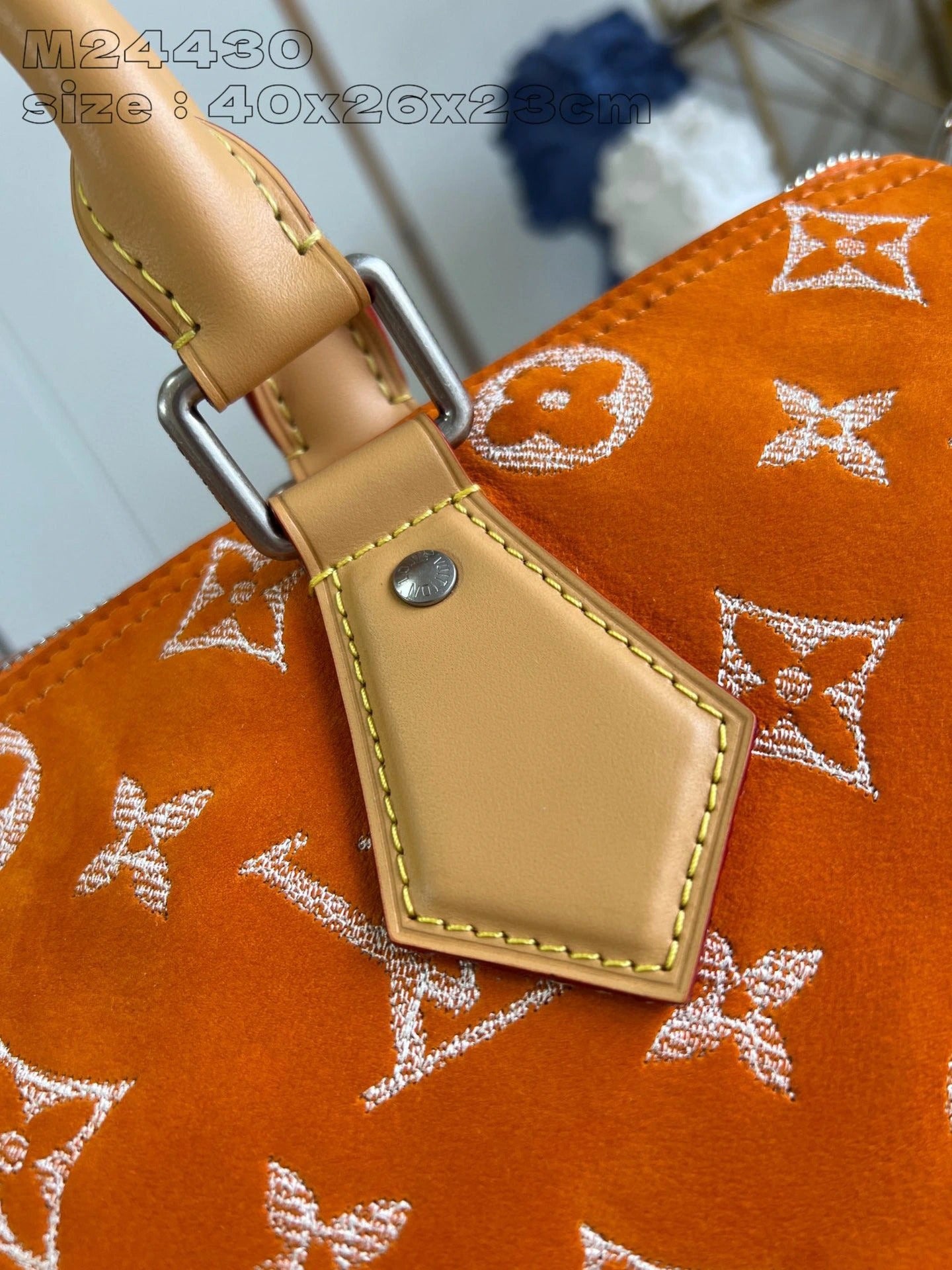 LOUIS VUITTON BAG
