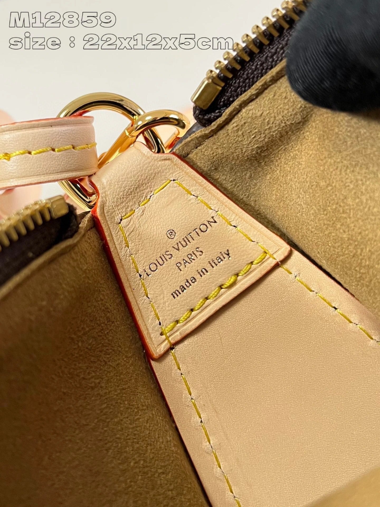 LOUIS VUITTON BAG