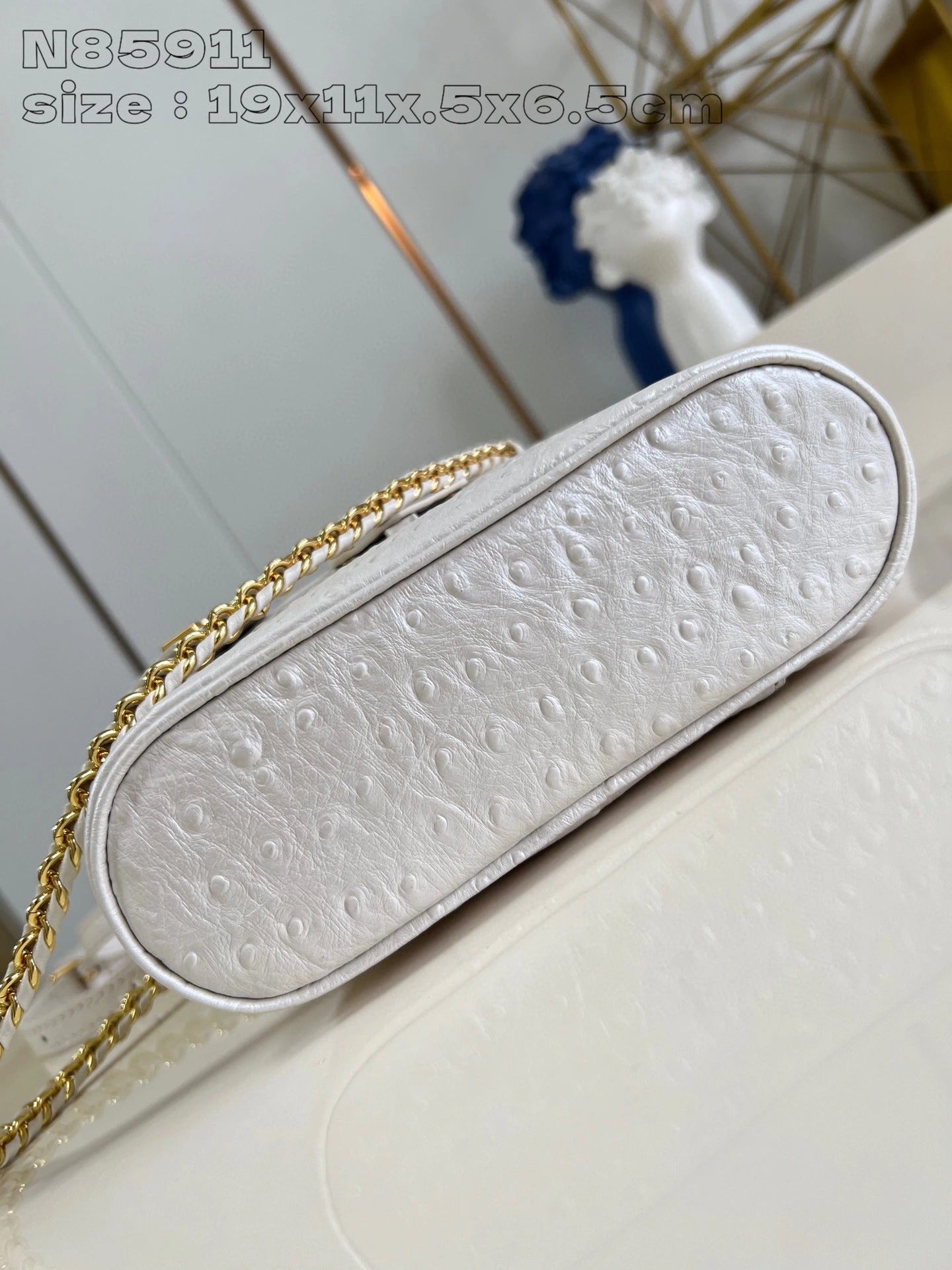 LOUIS VUITTON BAG