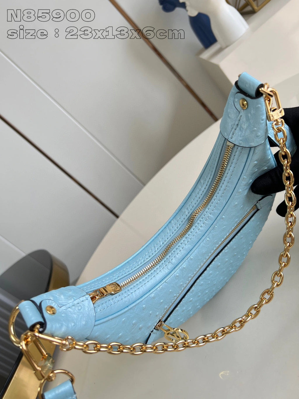 LOUIS VUITTON BAG