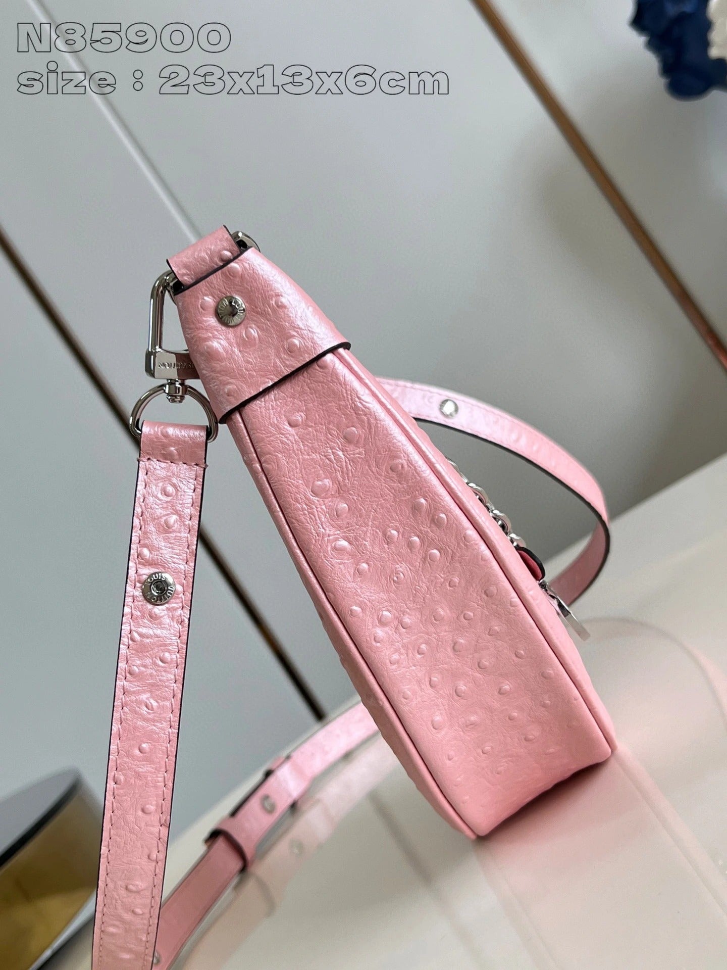 LOUIS VUITTON BAG