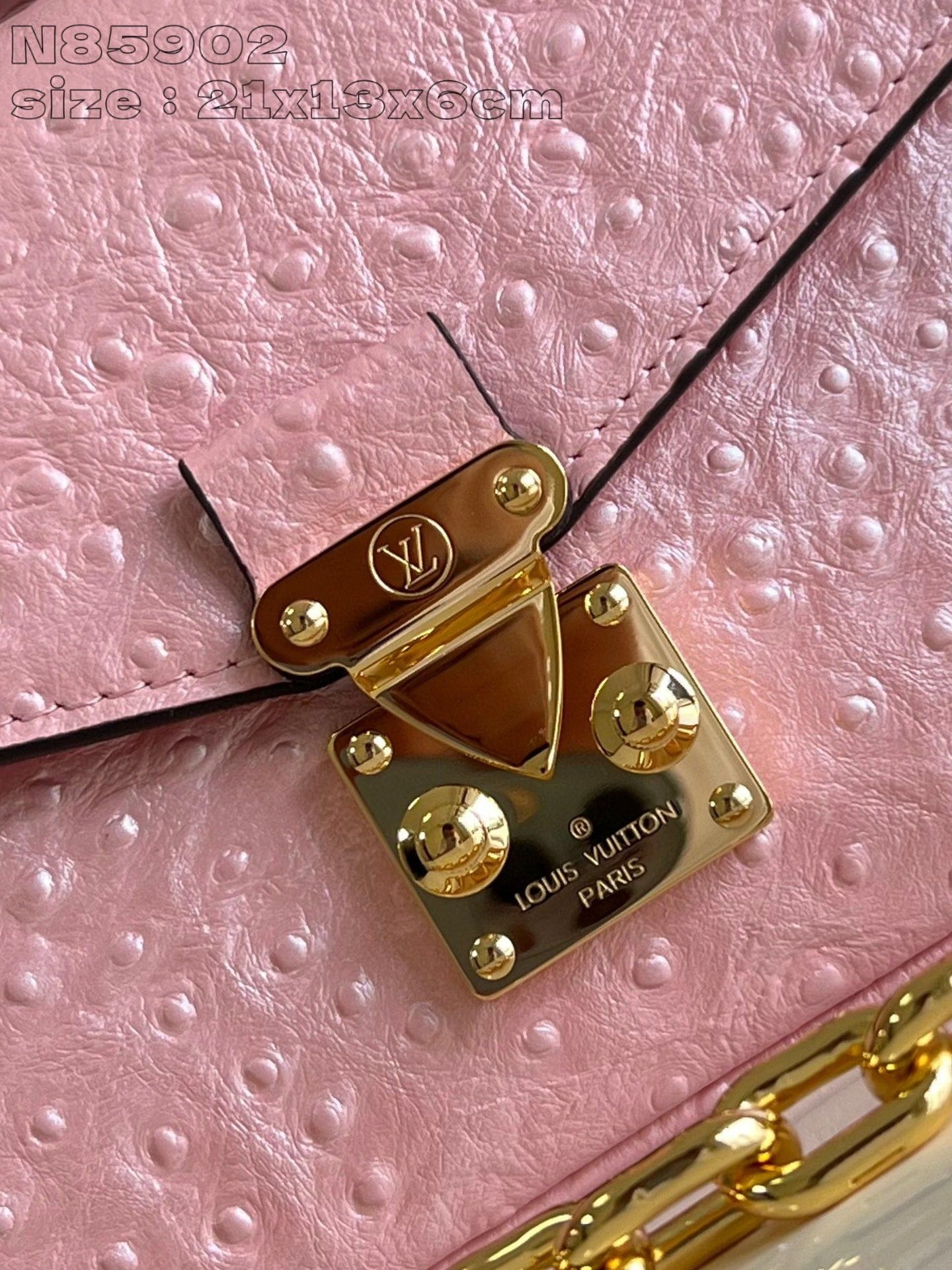 LOUIS VUITTON BAG