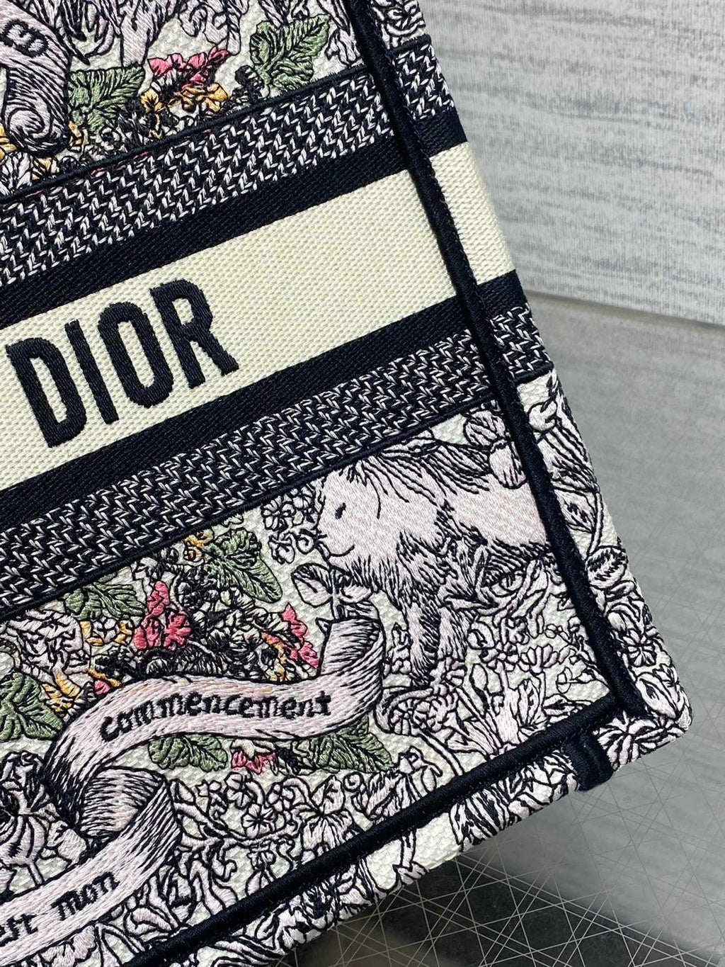 DIOR BAG