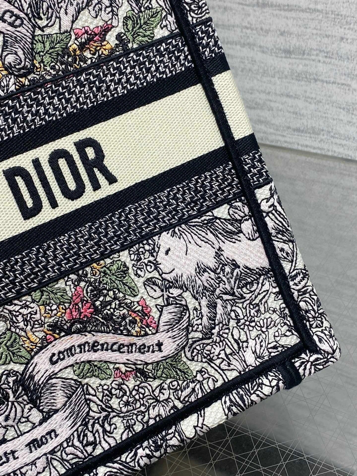 DIOR BAG