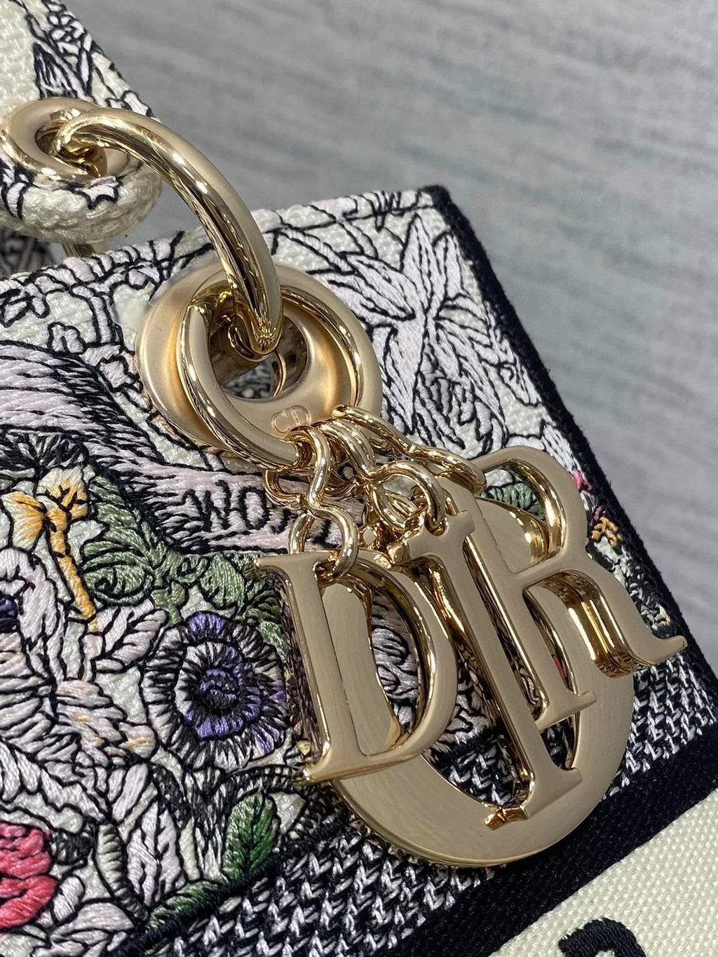DIOR BAG