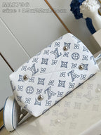 LOUIS VUITTON BAG