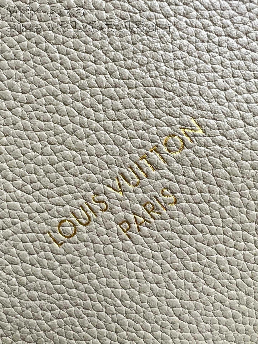 LOUIS VUITTON BAG