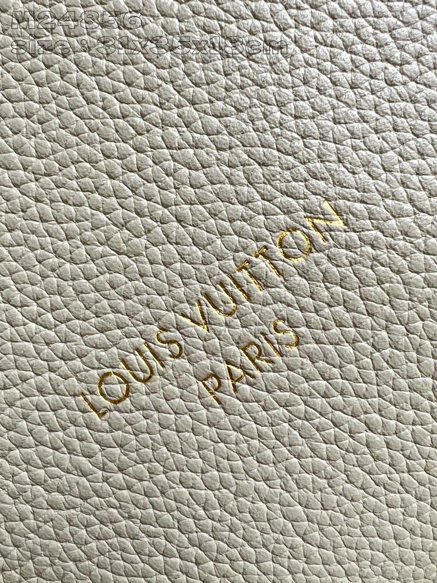 LOUIS VUITTON BAG