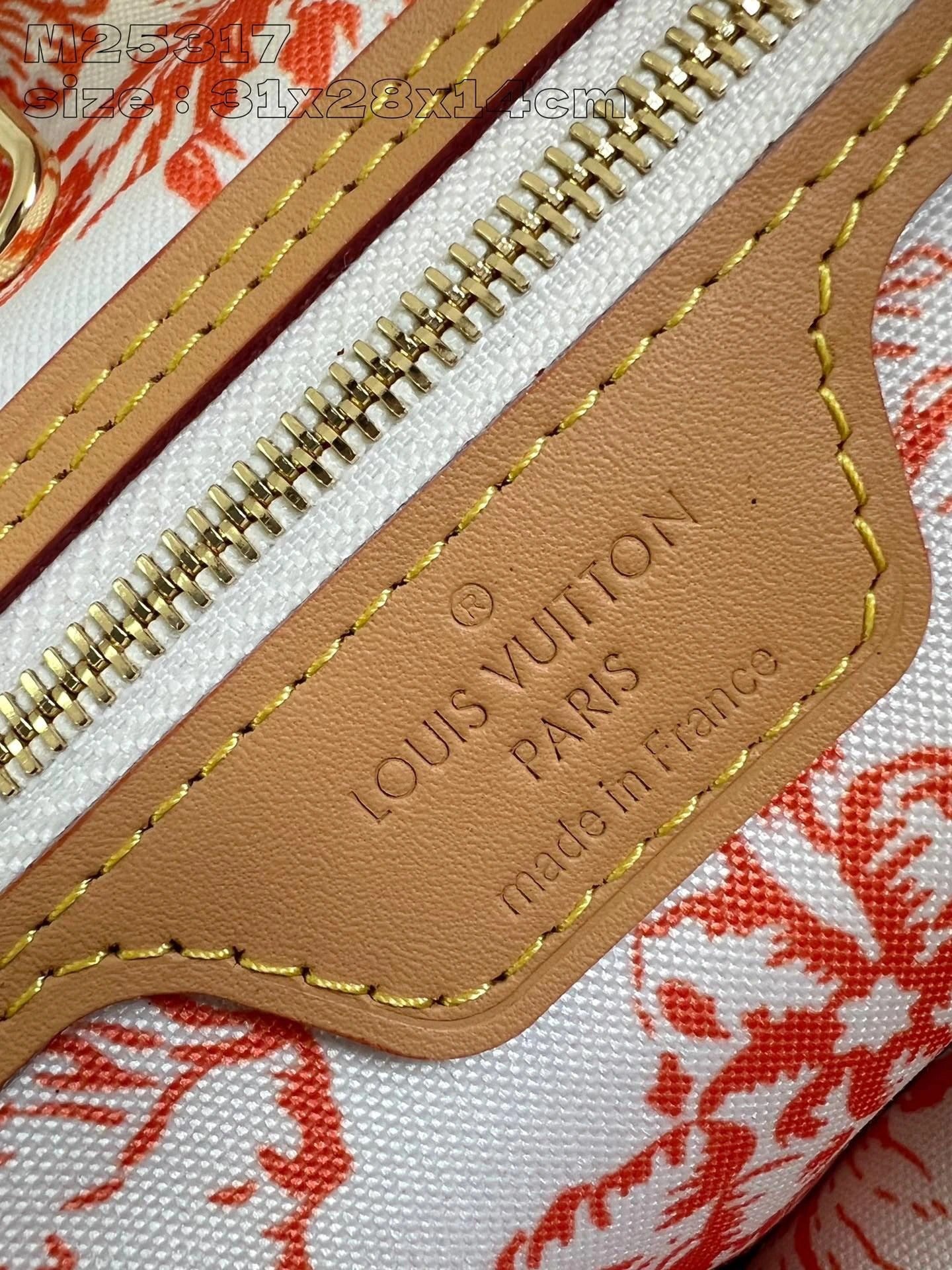 LOUIS VUITTON BAG