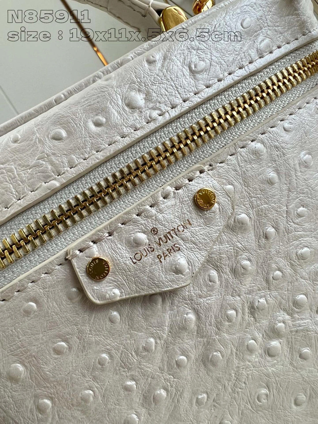 LOUIS VUITTON BAG