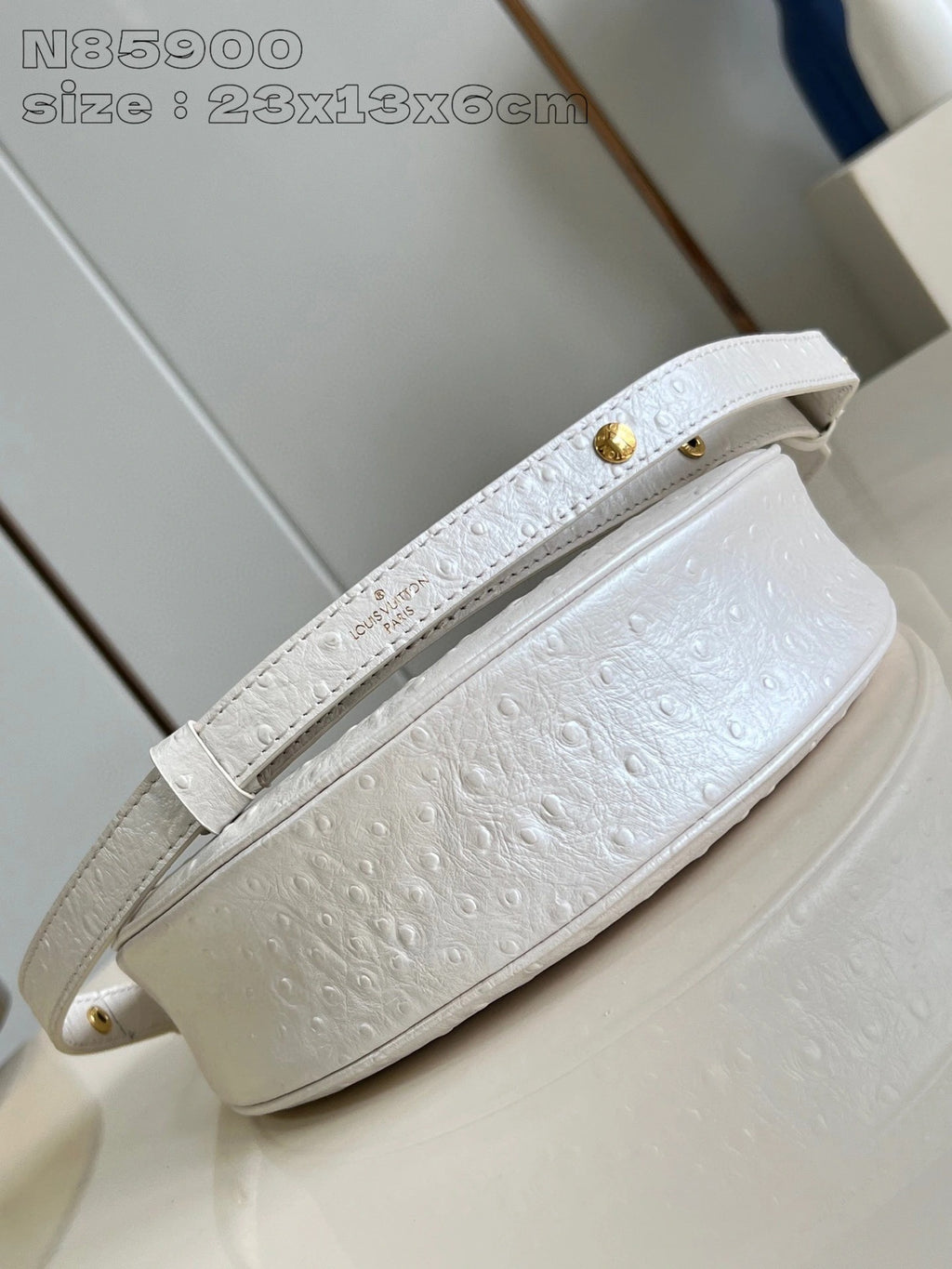 LOUIS VUITTON BAG