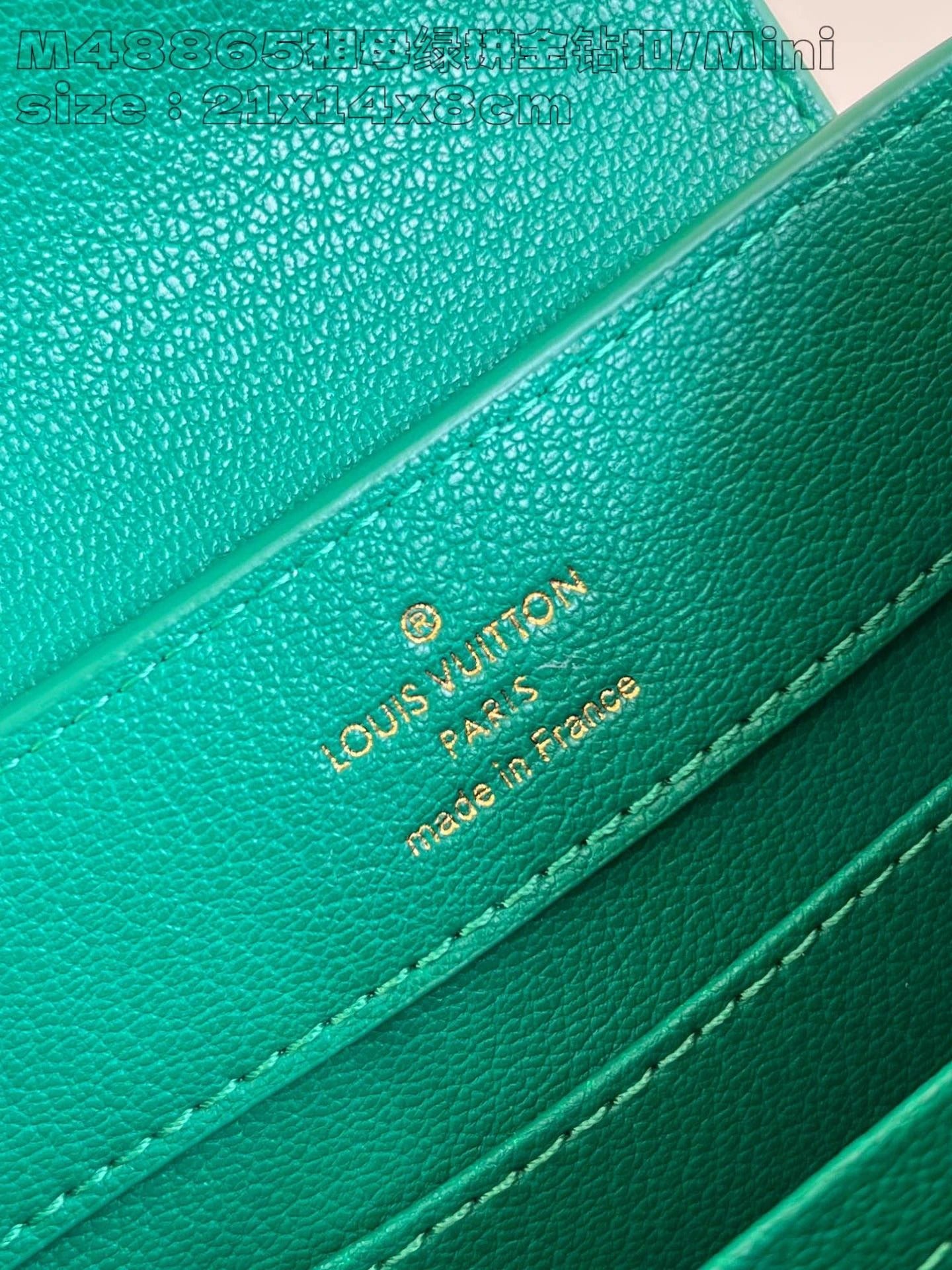 LOUIS VUITTON BAG