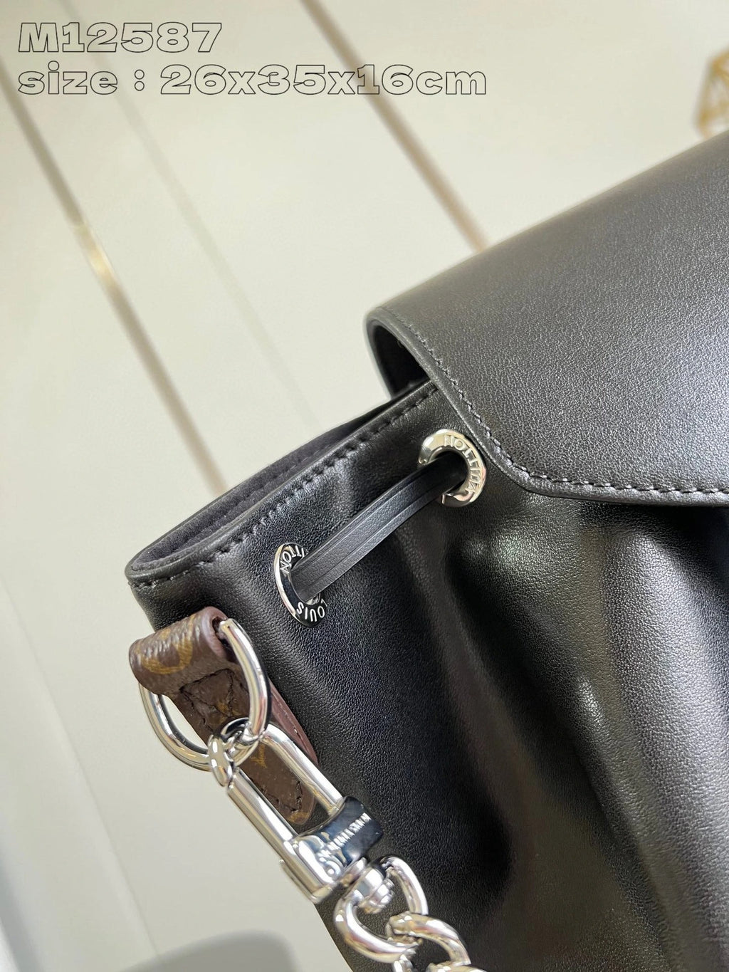 LOUIS VUITTON BAG