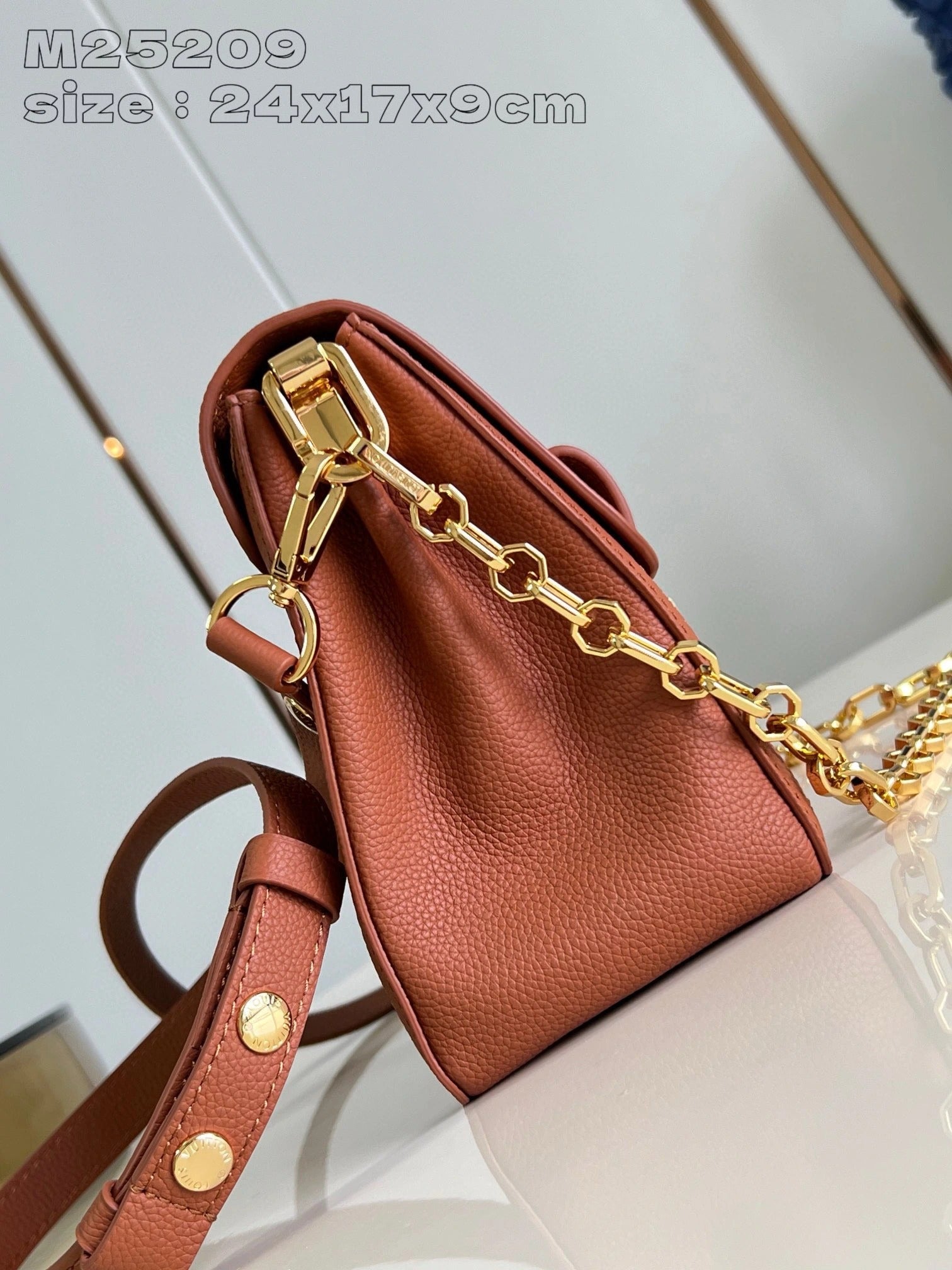 LOUIS VUITTON BAG