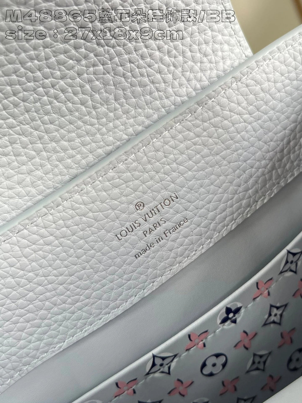 LOUIS VUITTON BAG