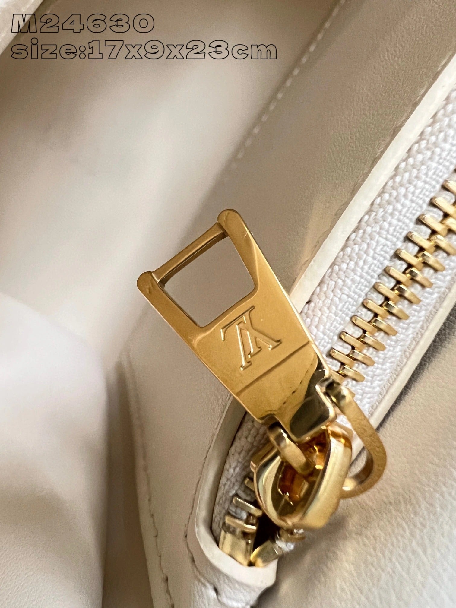 LOUIS VUITTON BAG