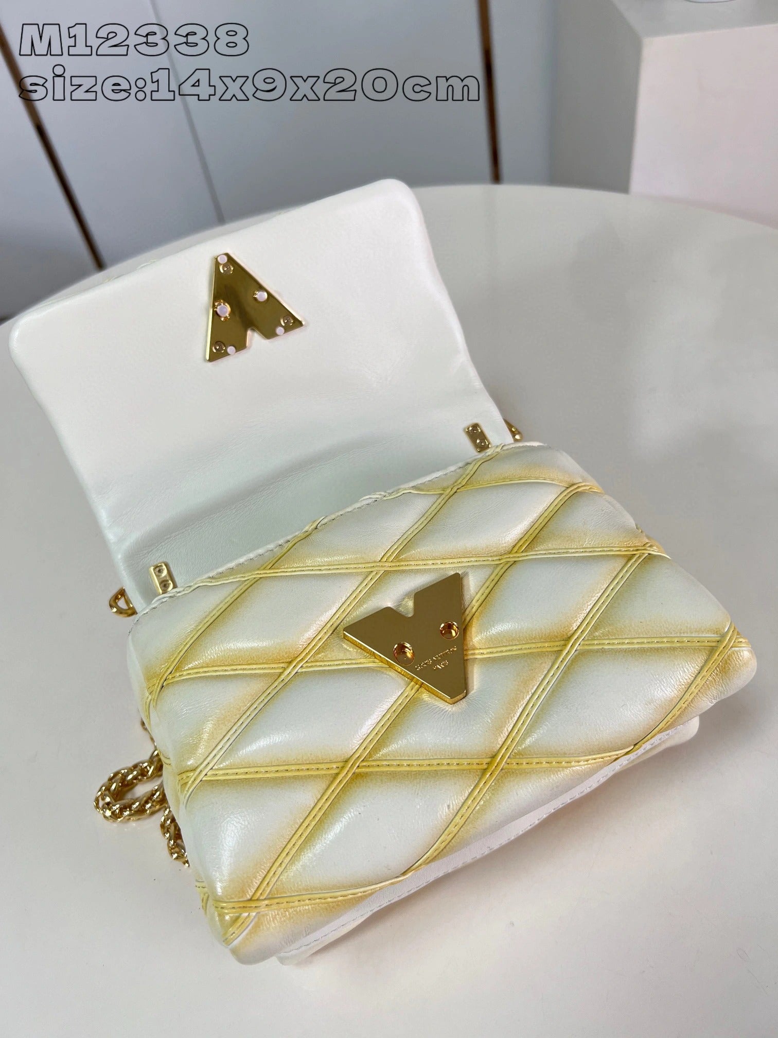 LOUIS VUITTON BAG
