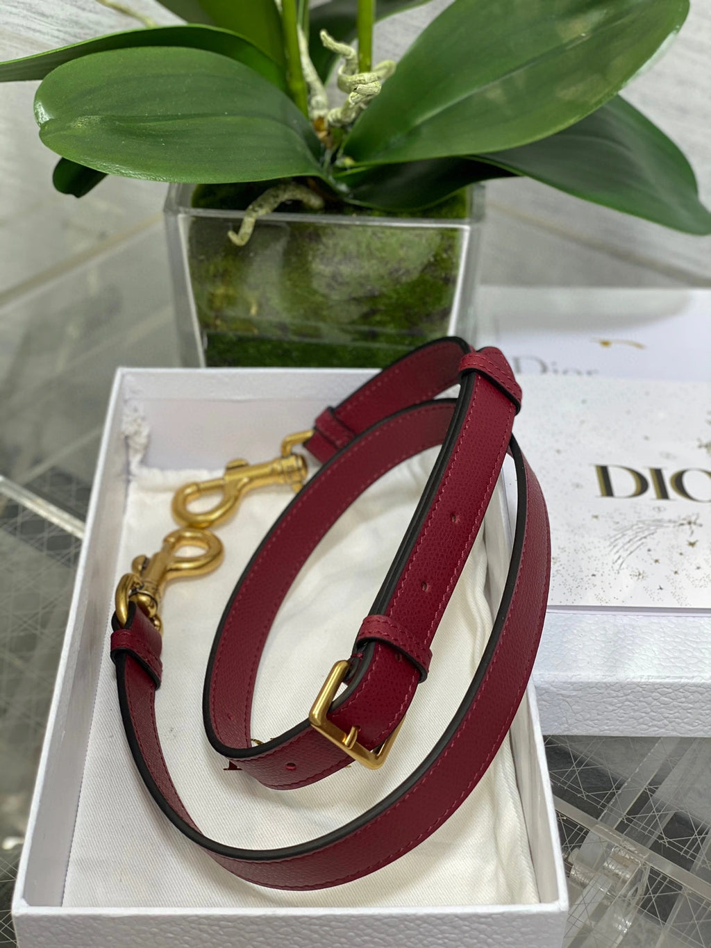 DIOR BAG