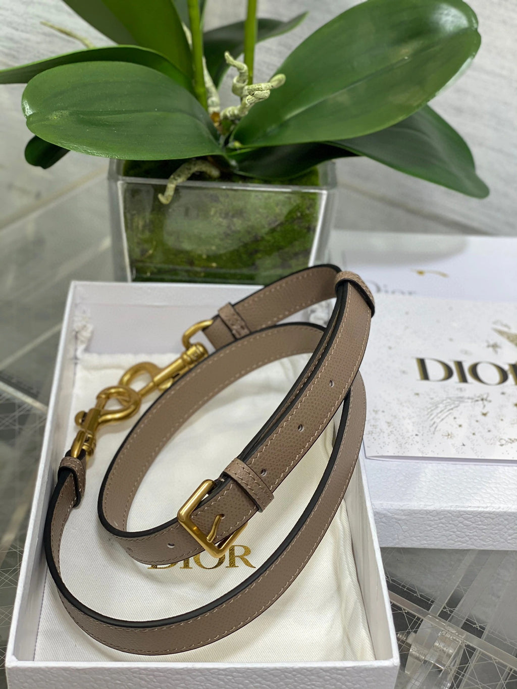 DIOR BAG