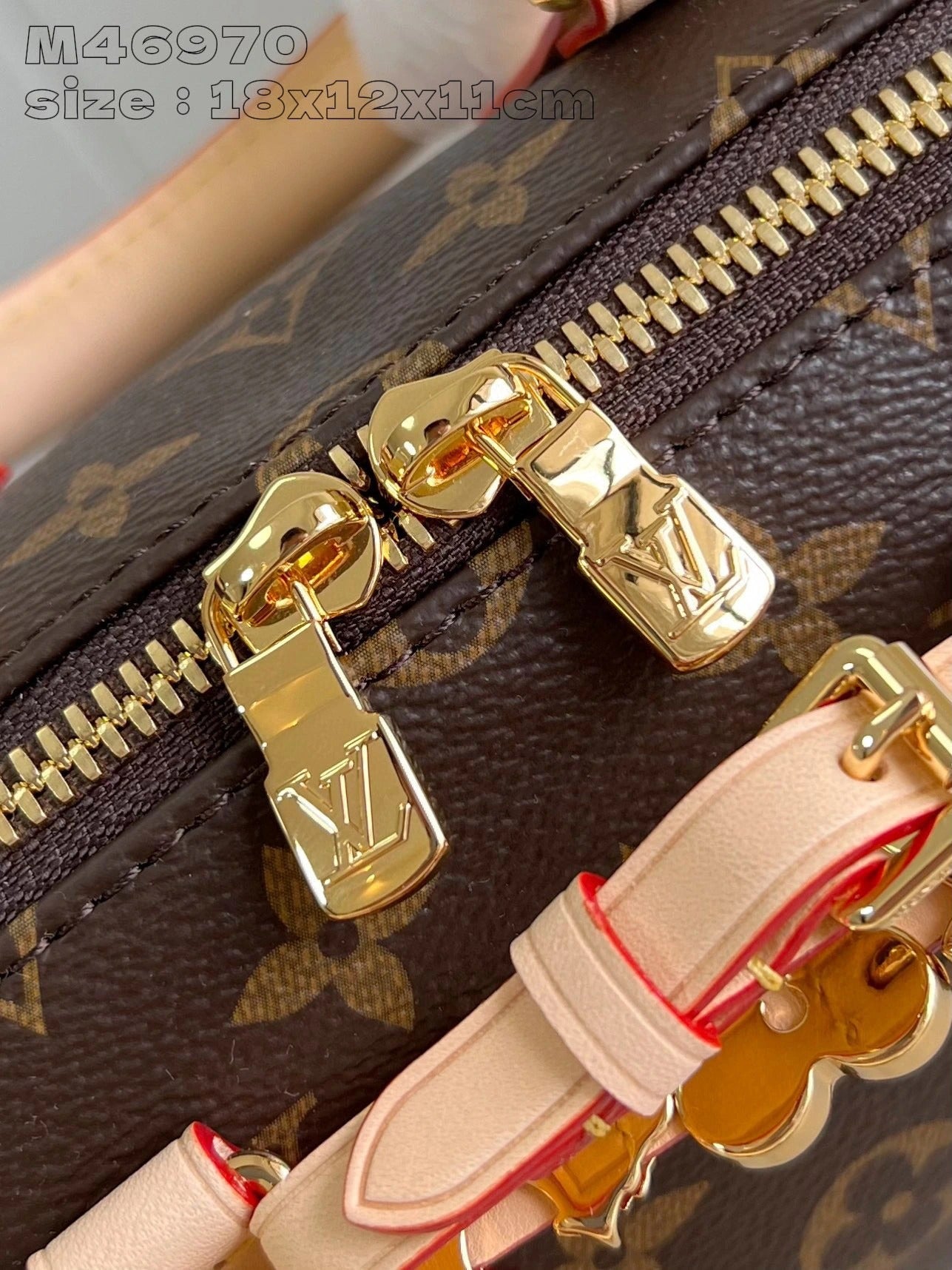 LOUIS VUITTON BAG