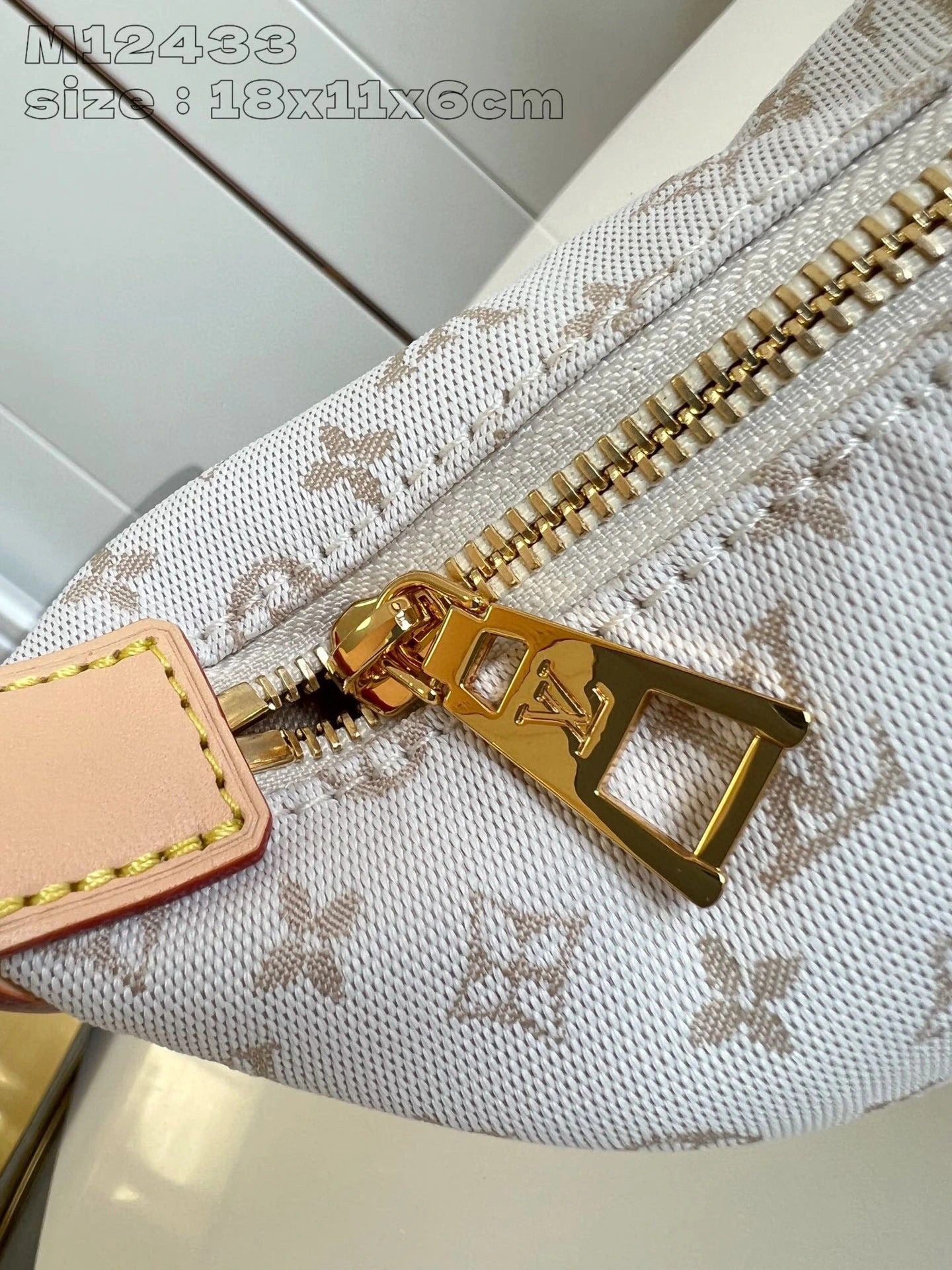LOUIS VUITTON BAG