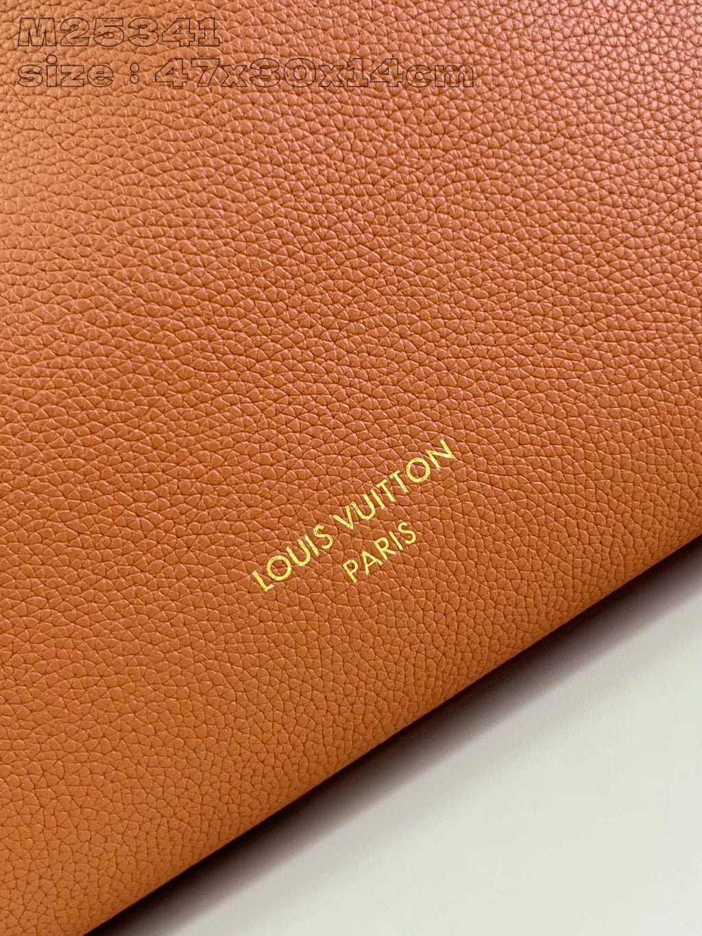 LOUIS VUITTON BAG