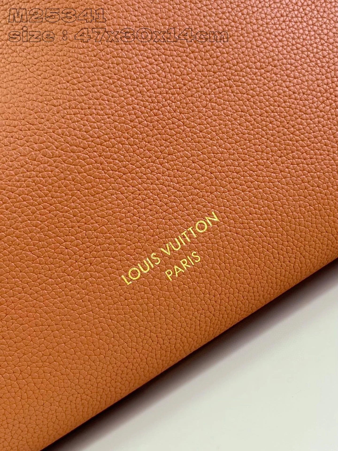 LOUIS VUITTON BAG