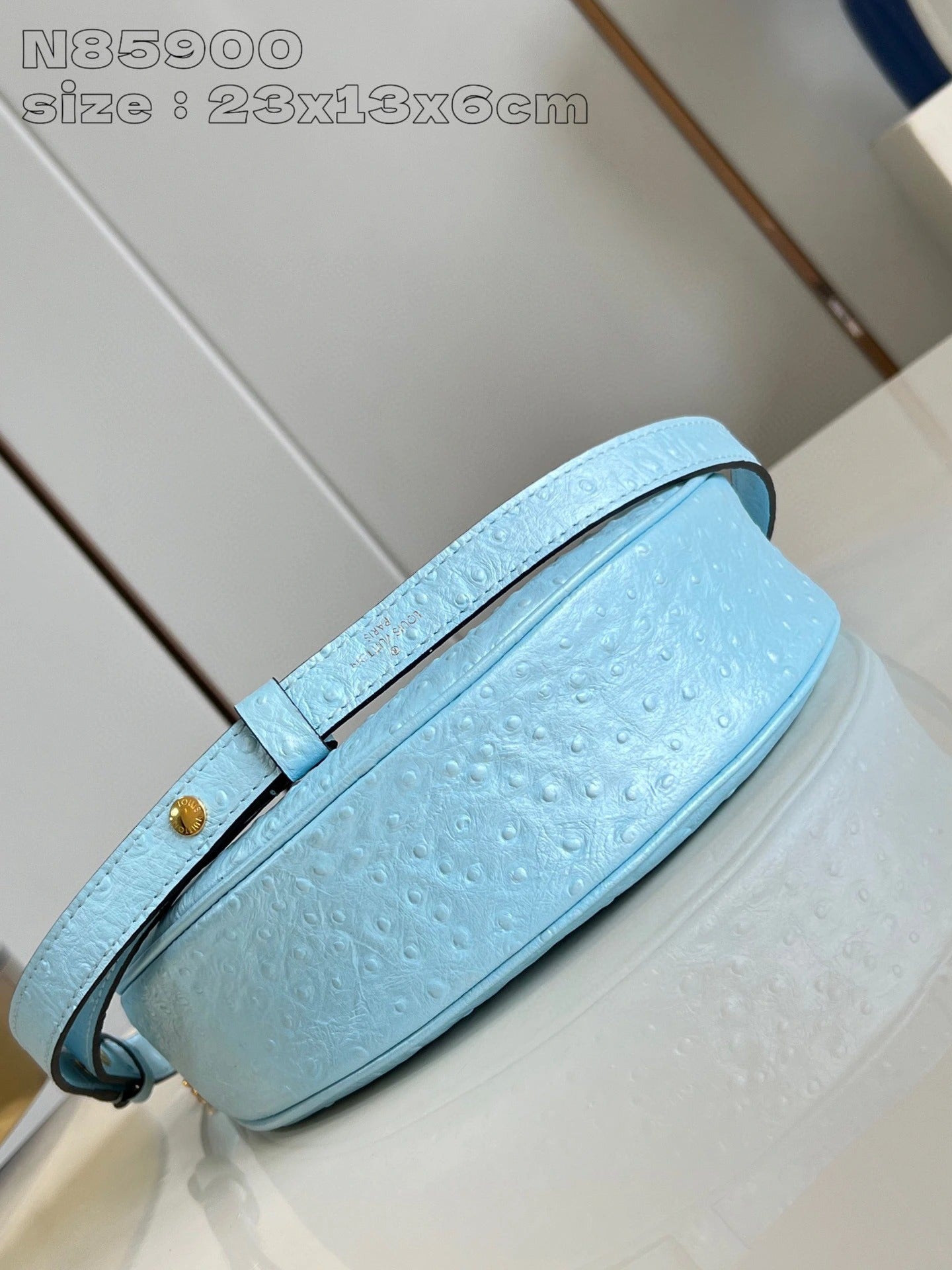 LOUIS VUITTON BAG