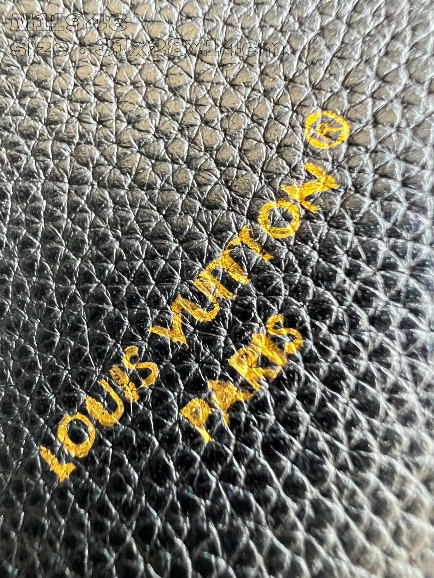 LOUIS VUITTON BAG