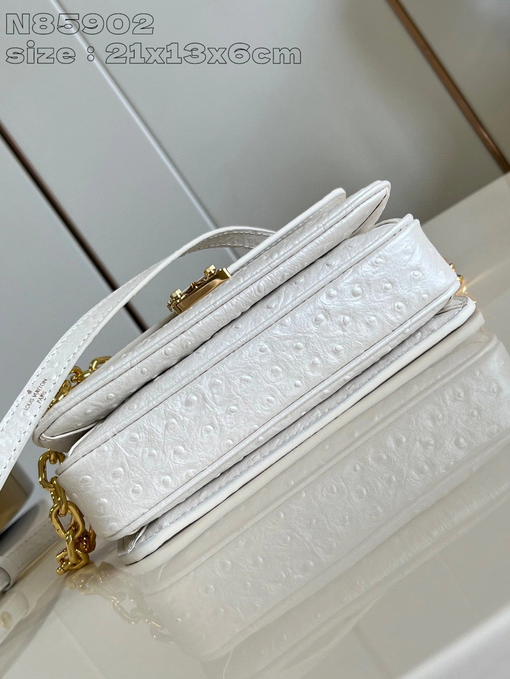 LOUIS VUITTON BAG