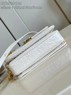 LOUIS VUITTON BAG