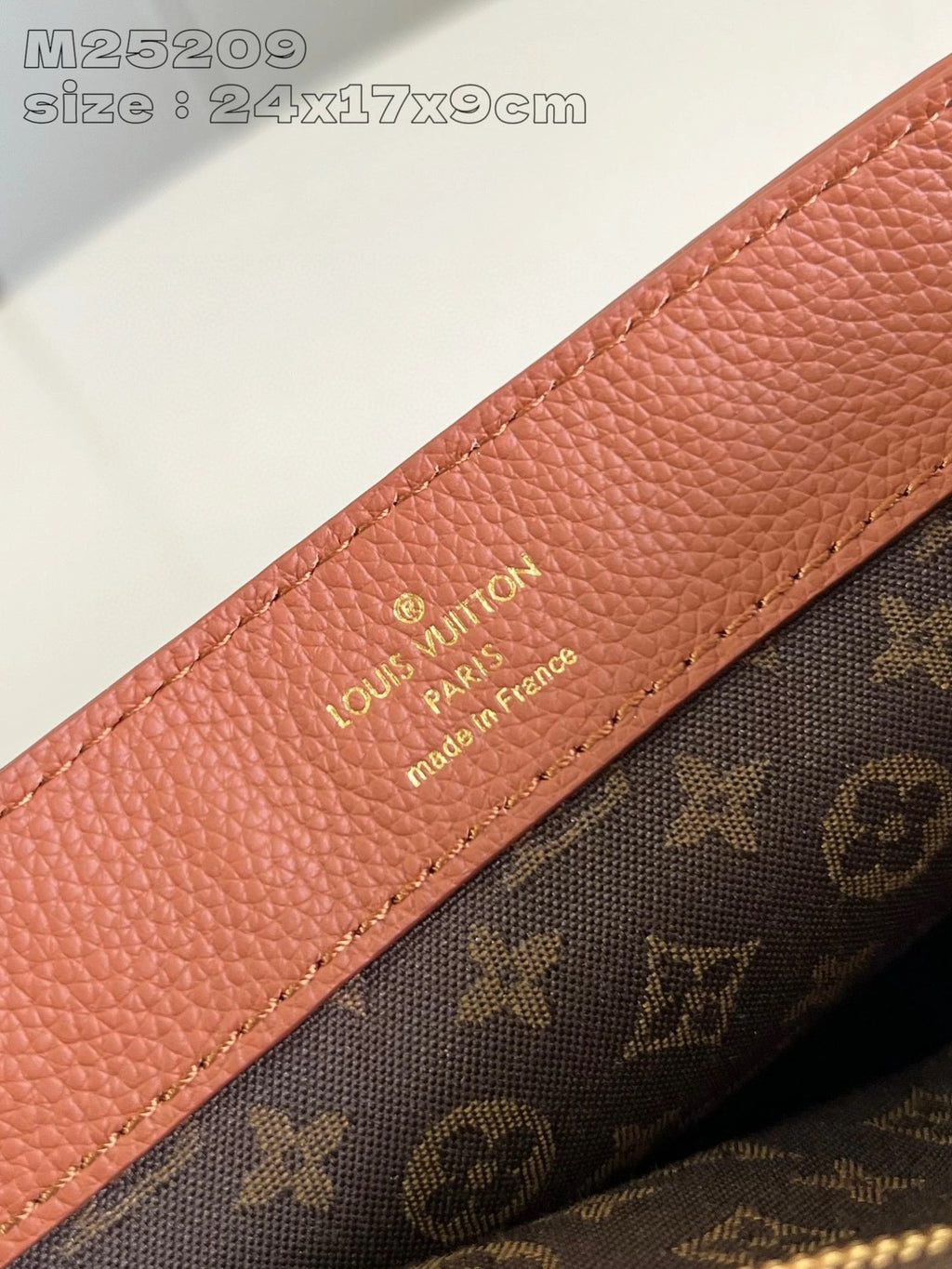 LOUIS VUITTON BAG