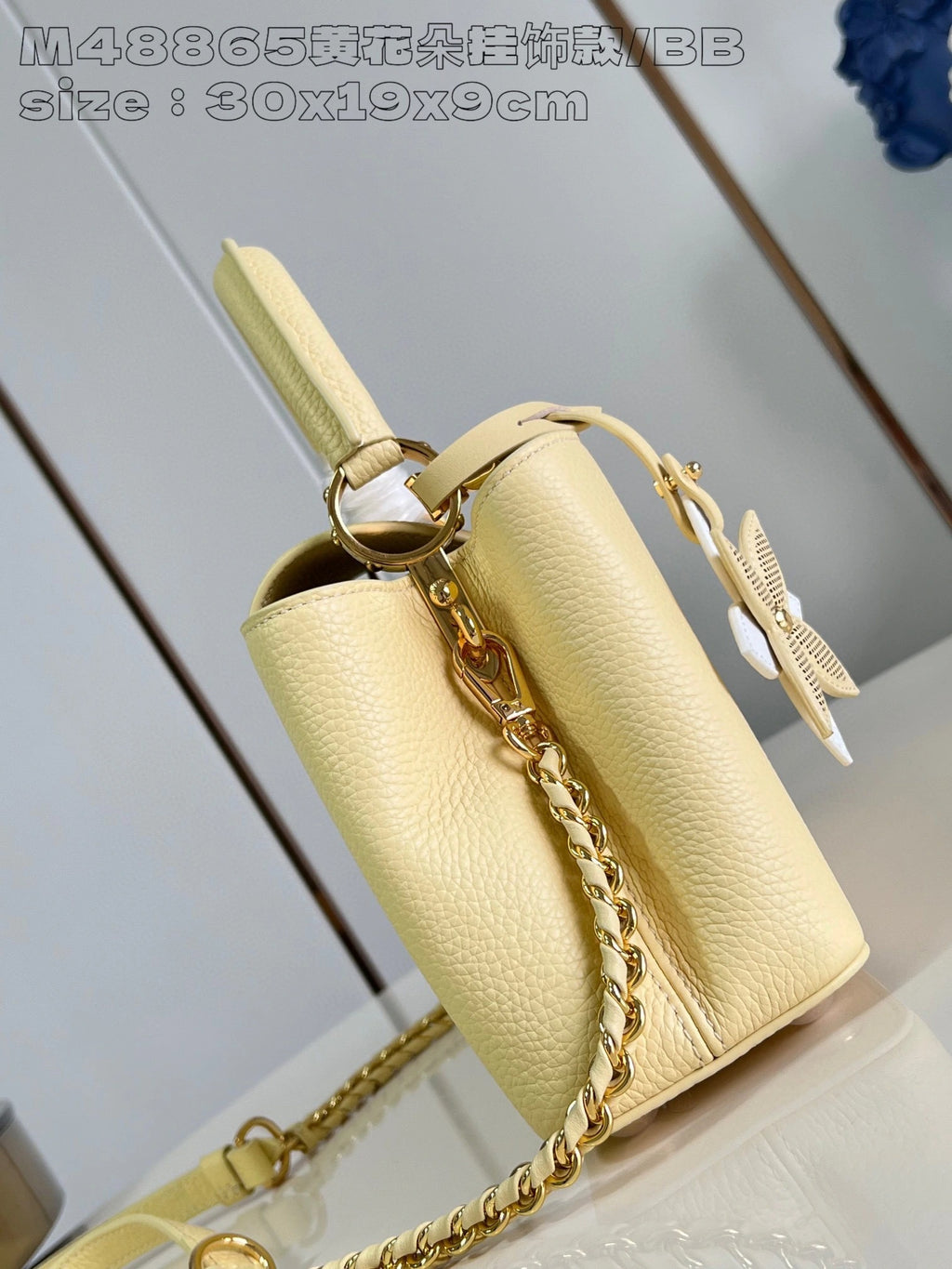 LOUIS VUITTON BAG
