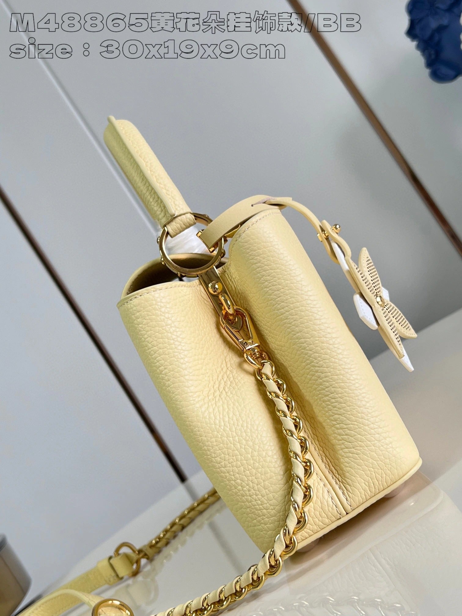 LOUIS VUITTON BAG