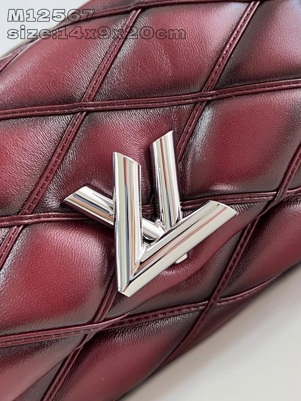 LOUIS VUITTON BAG